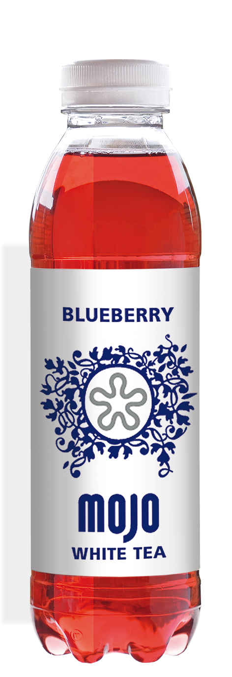 BLUEBERRY (500 ml x 12)